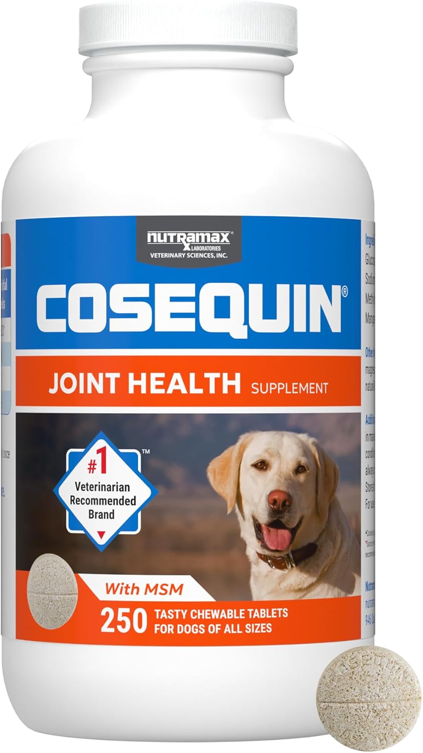 Nutramax Cosequin Plus MSM,Chewable Tablets, 250 ct (CHEWDS250-MSM)