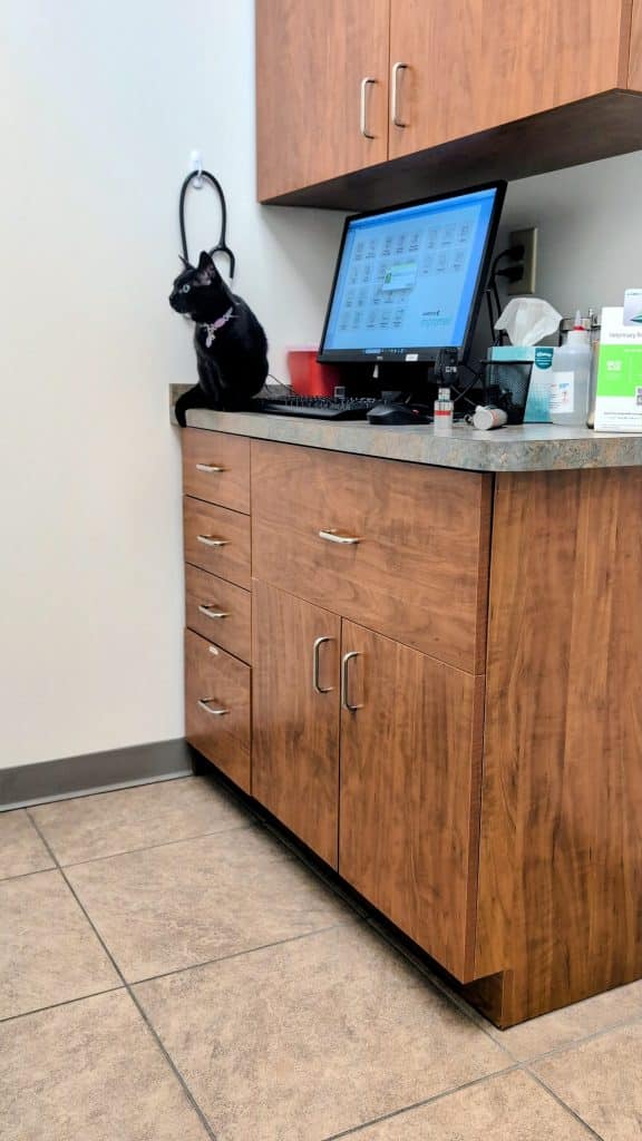 The divide between the “haves” and the “have nots” will devastate animal welfare