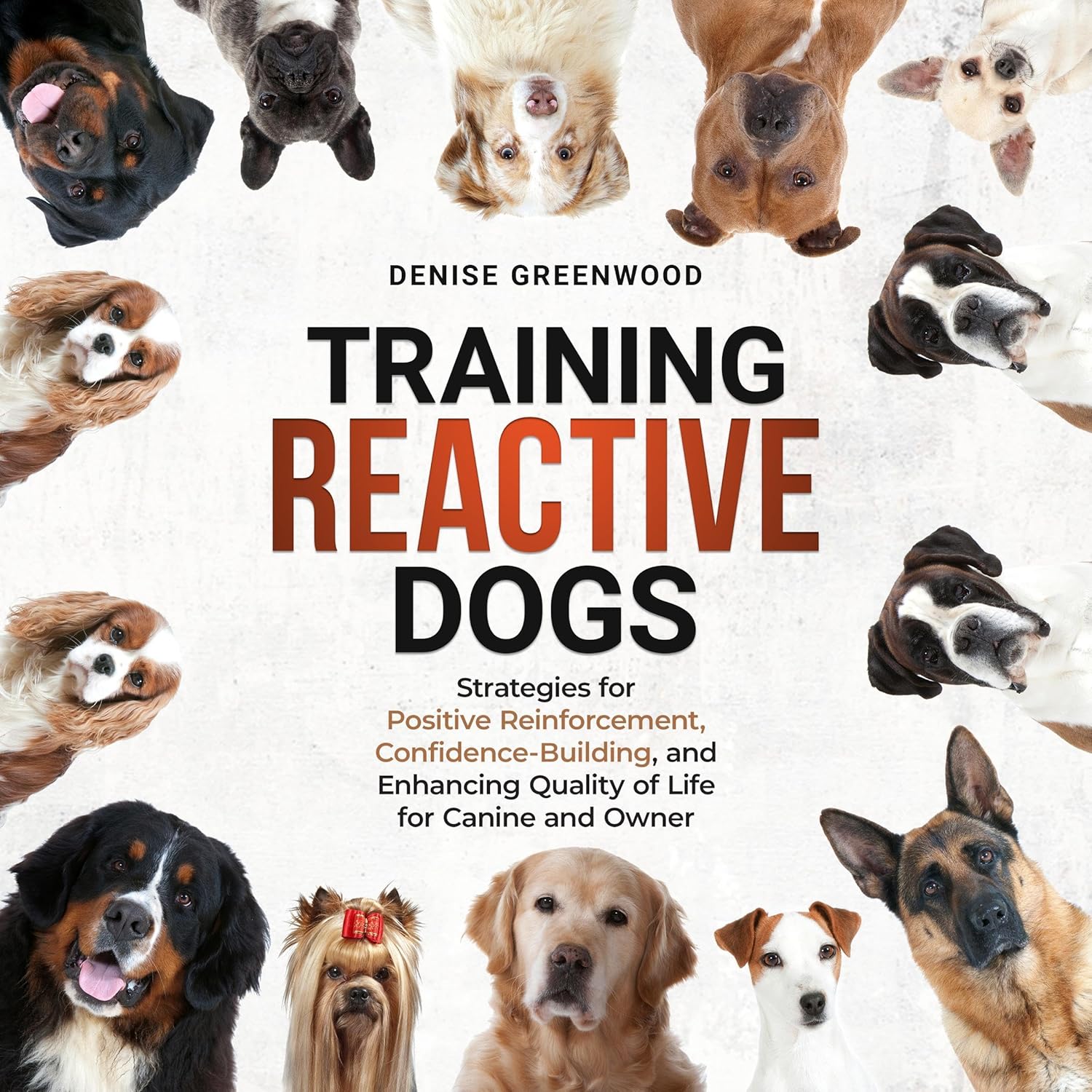 Training Reactive Dogs: Strategies for Positive Reinforcement, Confidence-Building, and Enhancing Quality of Life for Canine and Owner