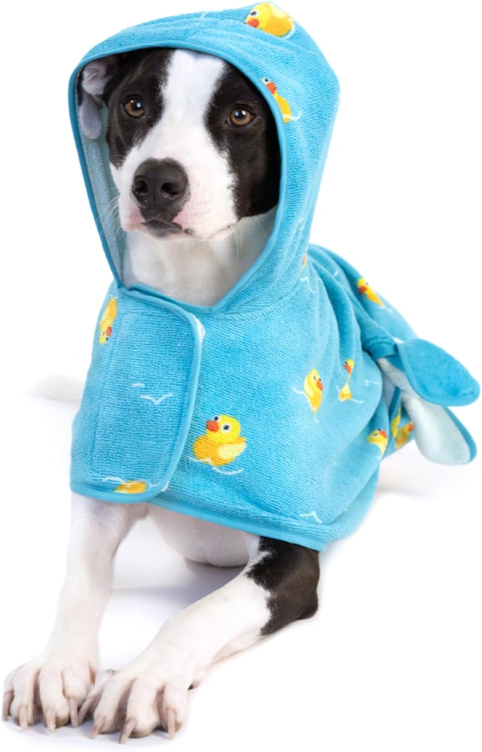 Barkbox Dog Bathrobe Fast Drying with Hook and Loop Closure & Wrap Tie Snuggle, Cute Dogs Clothes, Easy to Clean, Machine Washable, Dog Coats and Tumble Dry Low – Rubber Duck, Medium
