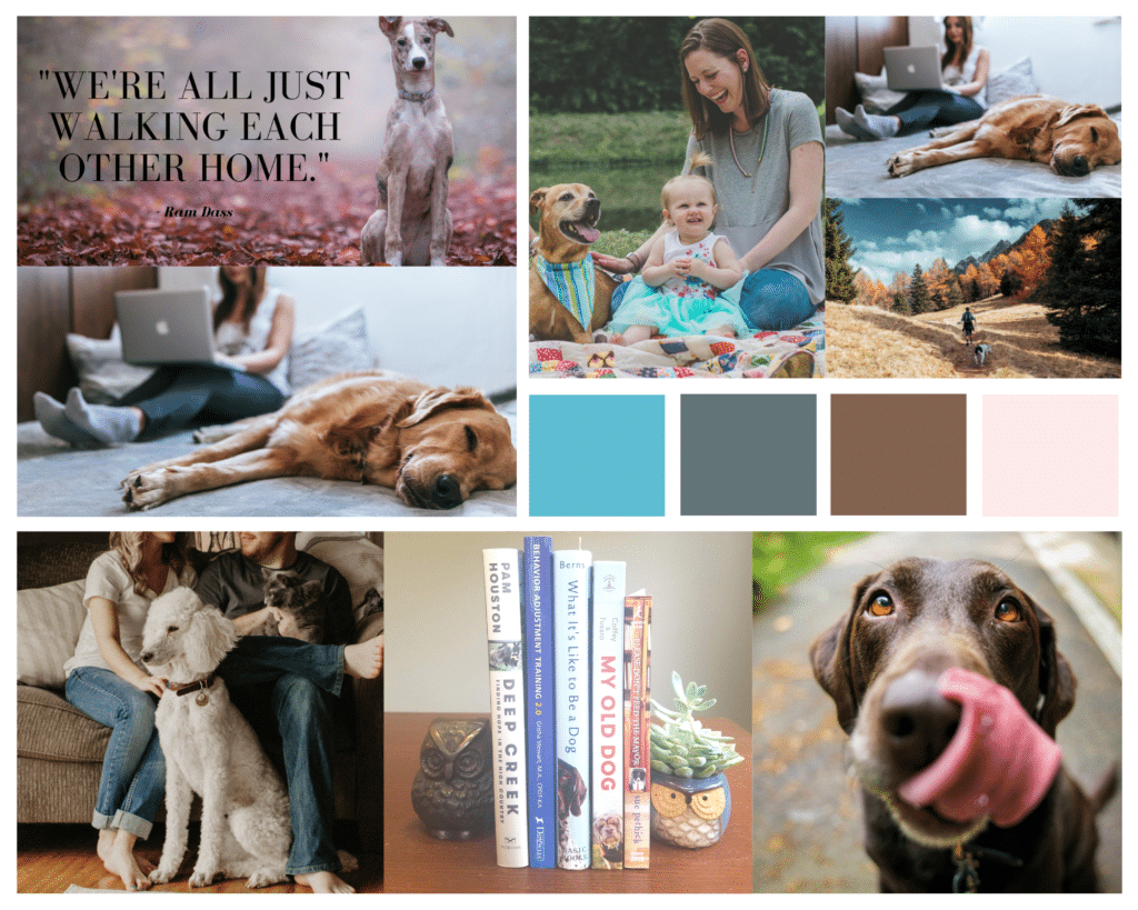 Reflections, Giveaways, and How You Can Help “For the Love of Dog”